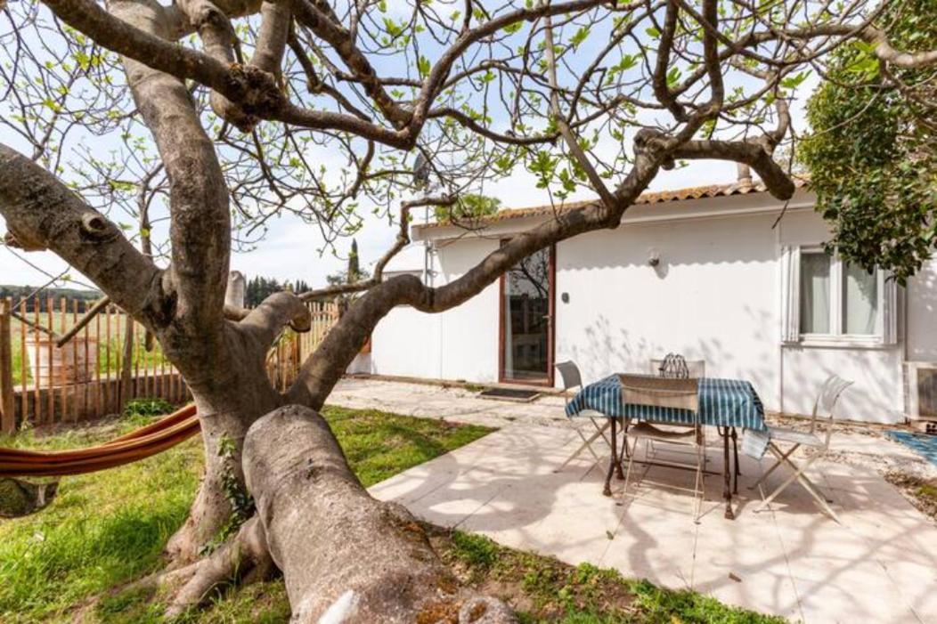 فيلا Casa Cote Sud - Mas Bois Fontaine نيم المظهر الخارجي الصورة