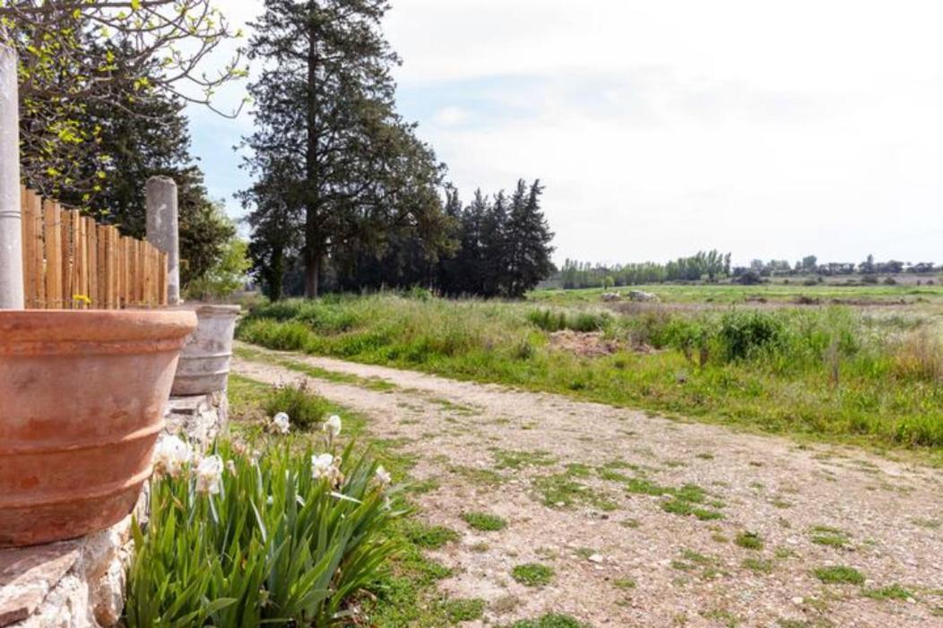 فيلا Casa Cote Sud - Mas Bois Fontaine نيم المظهر الخارجي الصورة
