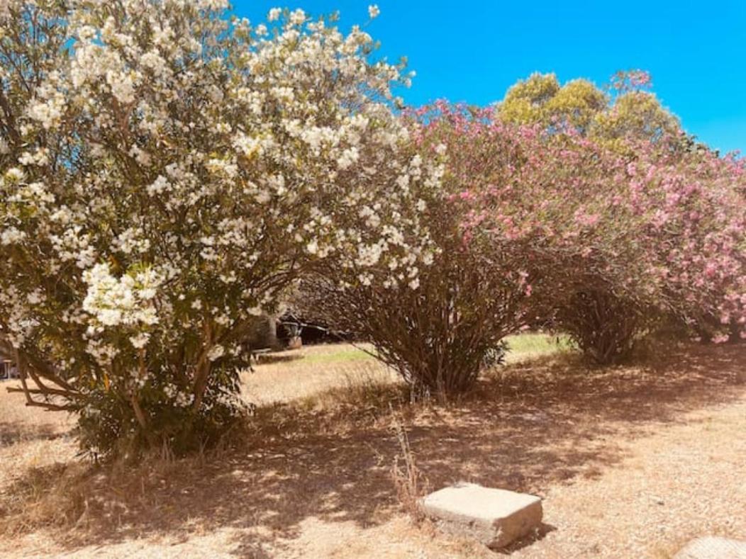 فيلا Casa Cote Sud - Mas Bois Fontaine نيم المظهر الخارجي الصورة