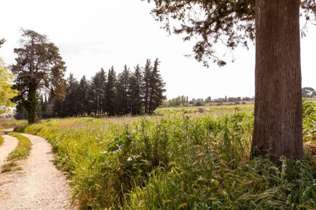 فيلا Casa Cote Sud - Mas Bois Fontaine نيم المظهر الخارجي الصورة